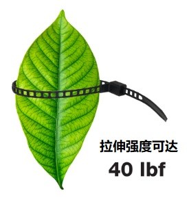 环保梯形扎带
